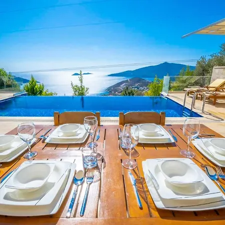 Eco Palmiye